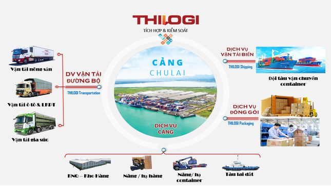 mo-hinh-logistics-tich-hop-tron-goi-cua-thilogi-giup-khach-hang-tiet-kiem-chi-phi-va-thoi-gian-6913.png