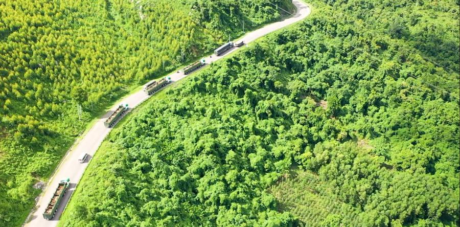 2-van-chuyen-gia-suc-tu-cang-quy-nhon-binh-dinh-den-trang-trai-ia-puch-gia-lai-theo-tuyen-quoc-lo-19-1.jpg